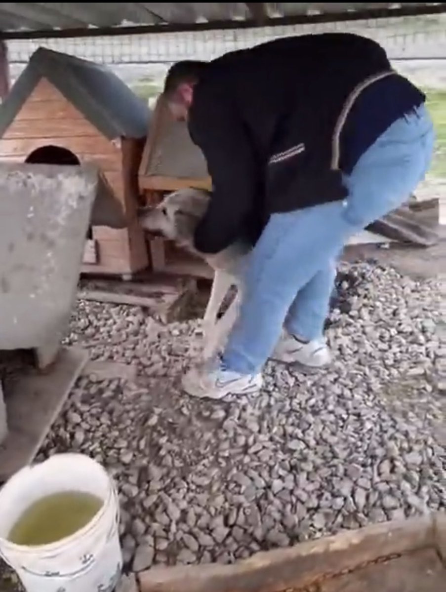 Serap Ulusoy 🦋 tweet media