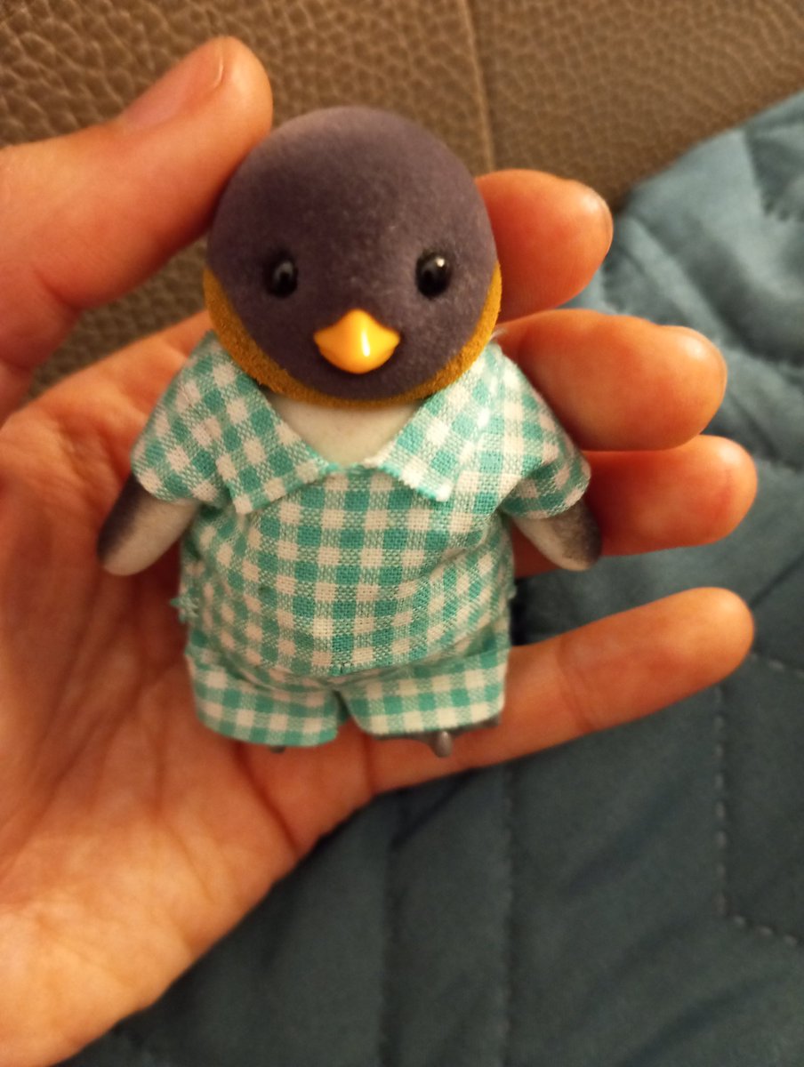 kinky isopod tweet media