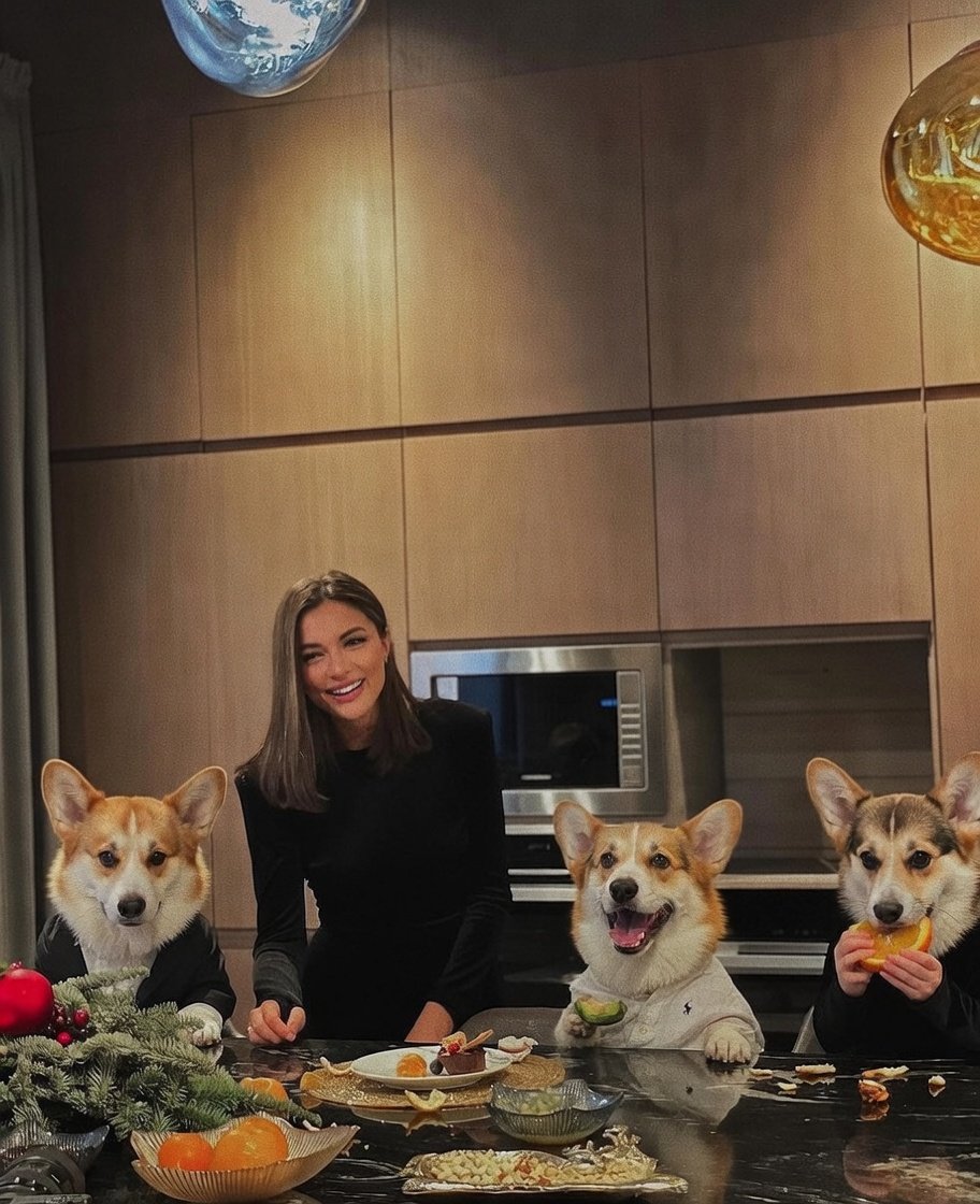 Sgt. Wingflapper tweet media