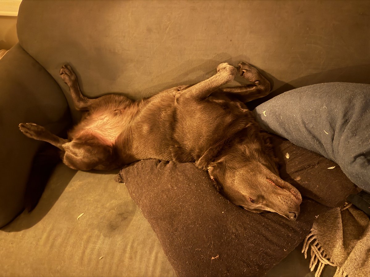 Laurence Fox tweet media