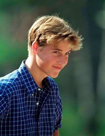 Prêstón Alfónső Párra Mejia Luca Matteo del Tóro tweet media