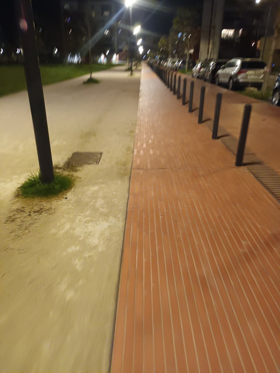 Ibra 🇩🇿🇵🇸 tweet media