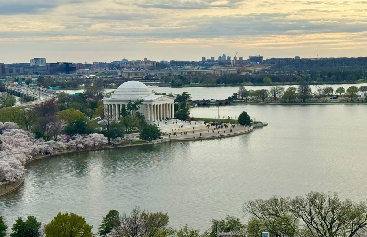 Kari Lake tweet media