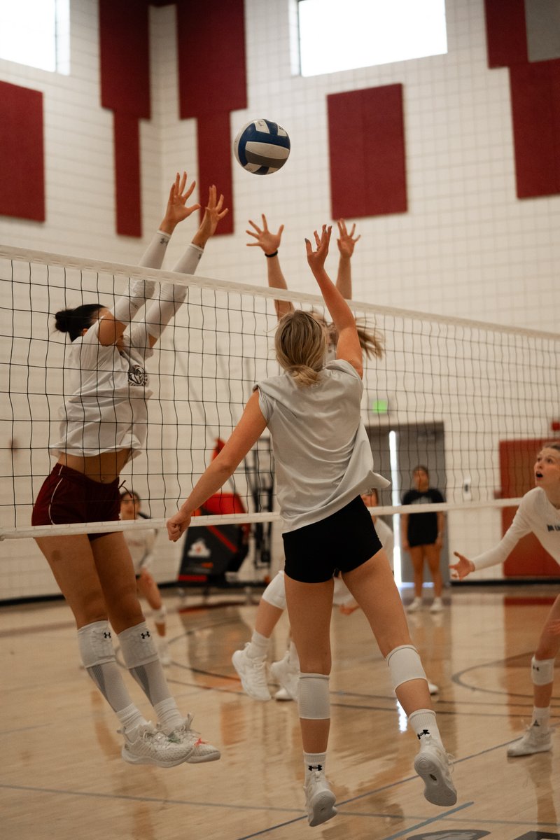NM State Volleyball tweet media