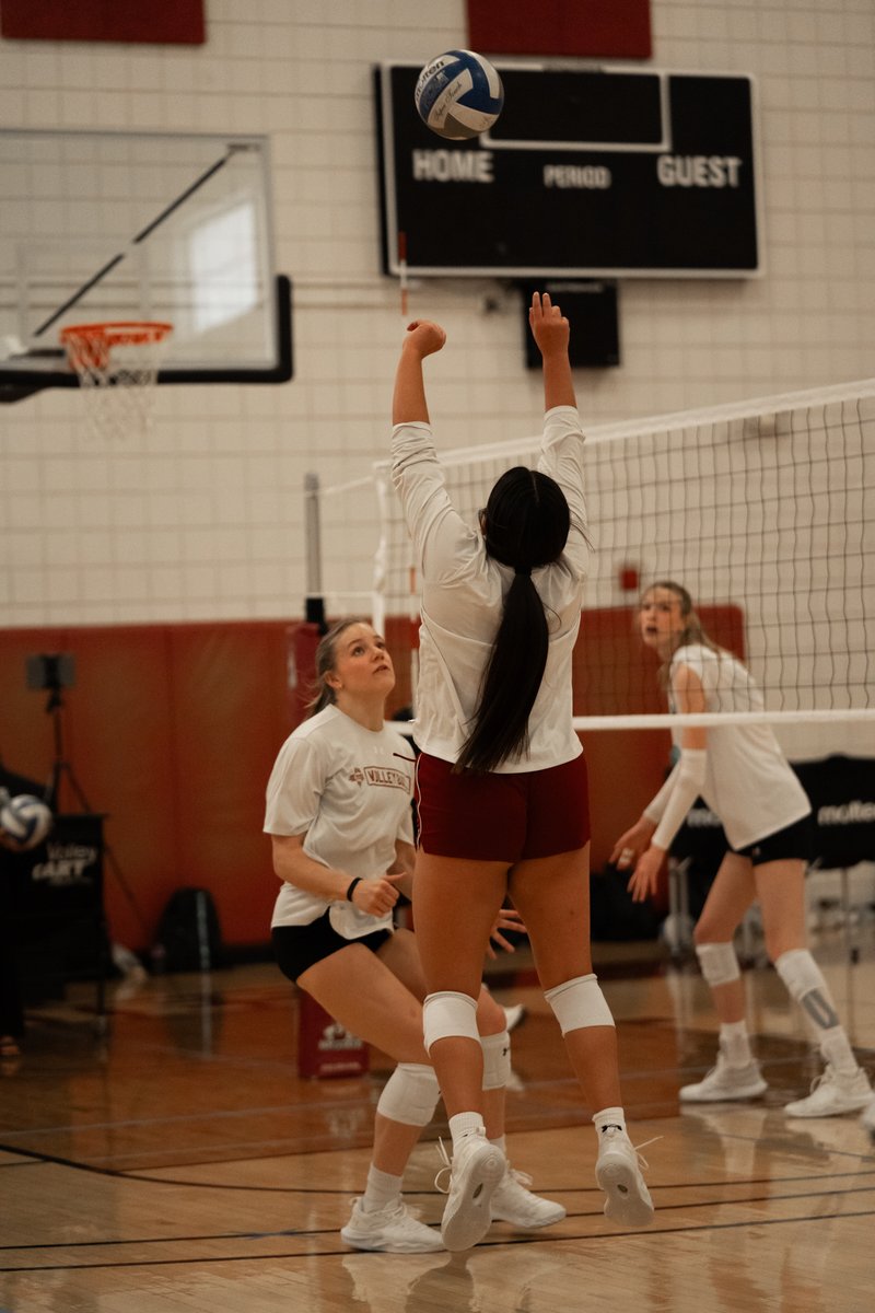 NM State Volleyball tweet media