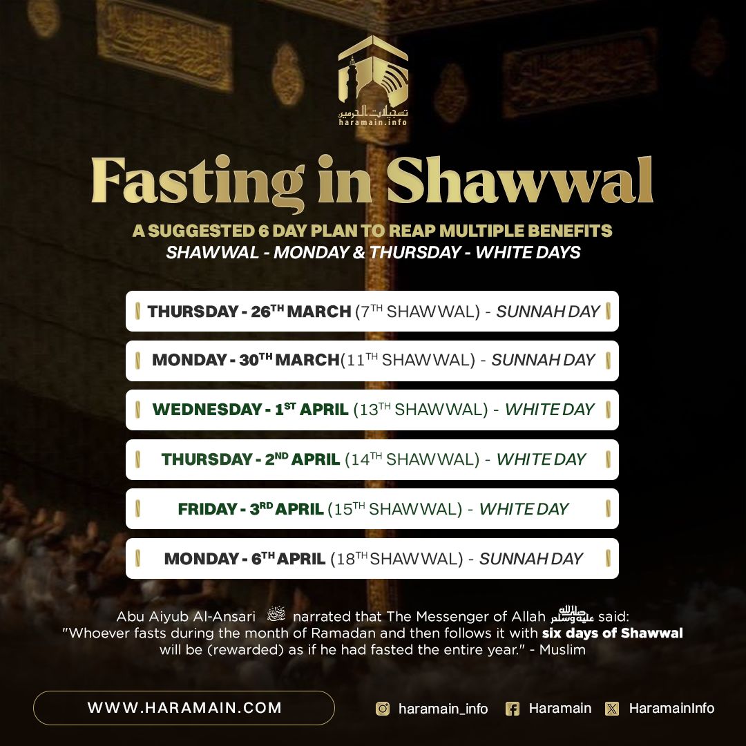 𝗛𝗮𝗿𝗮𝗺𝗮𝗶𝗻 tweet media