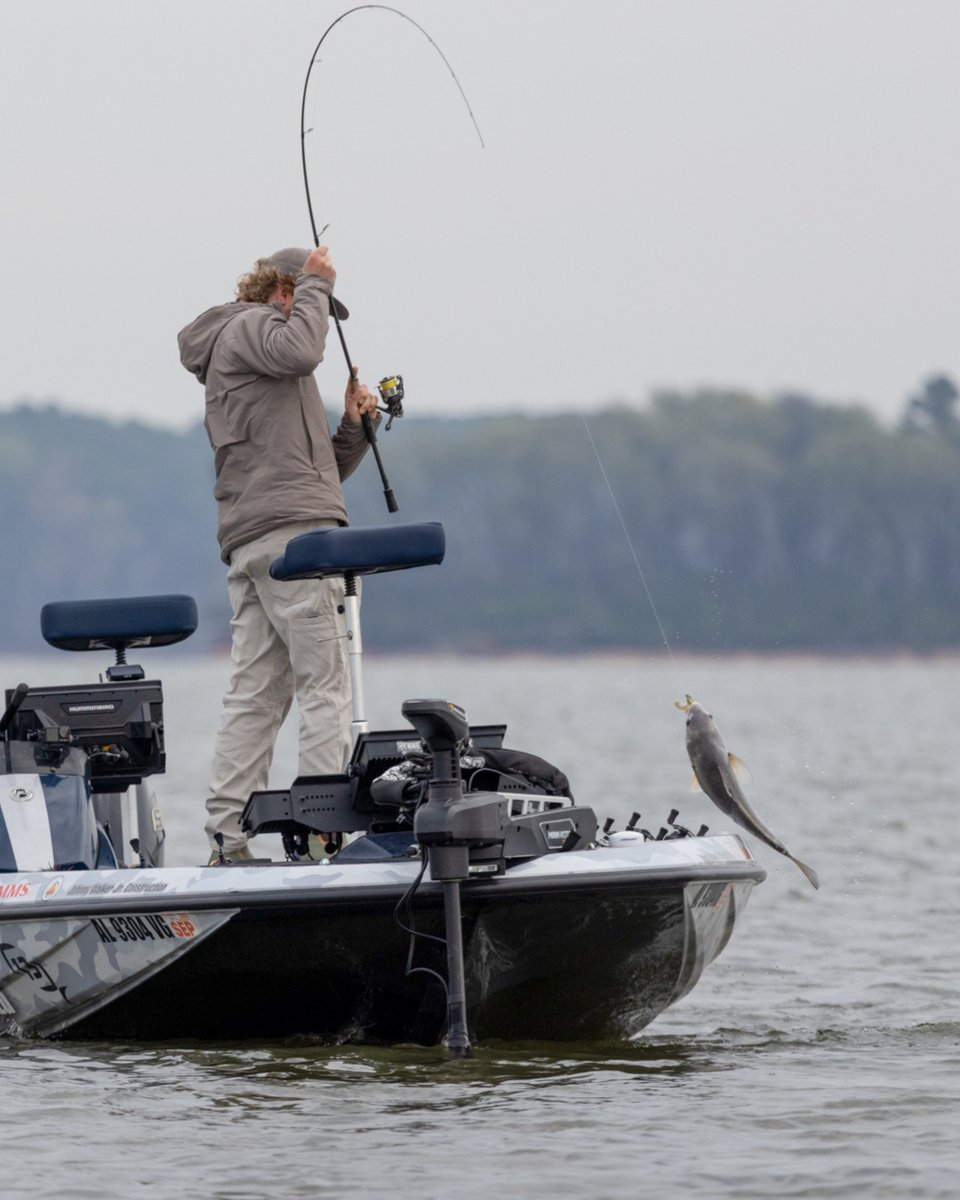 Tackle Warehouse tweet media