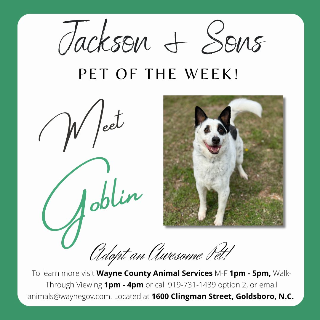 Jackson & Sons tweet media