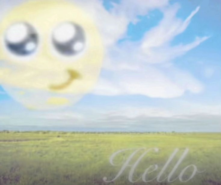 エラ ★✧*。 tweet media