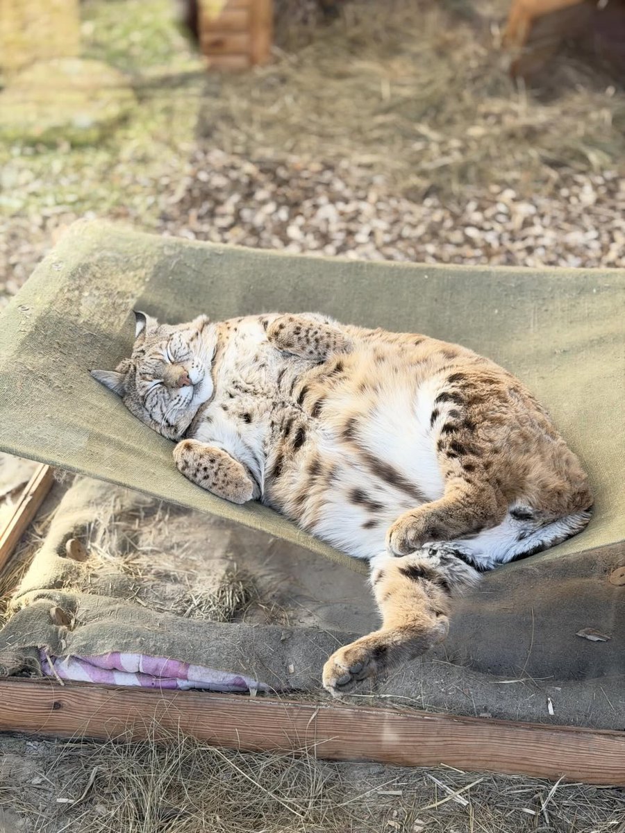 🇺🇦Julia Pod 🇺🇦 tweet media