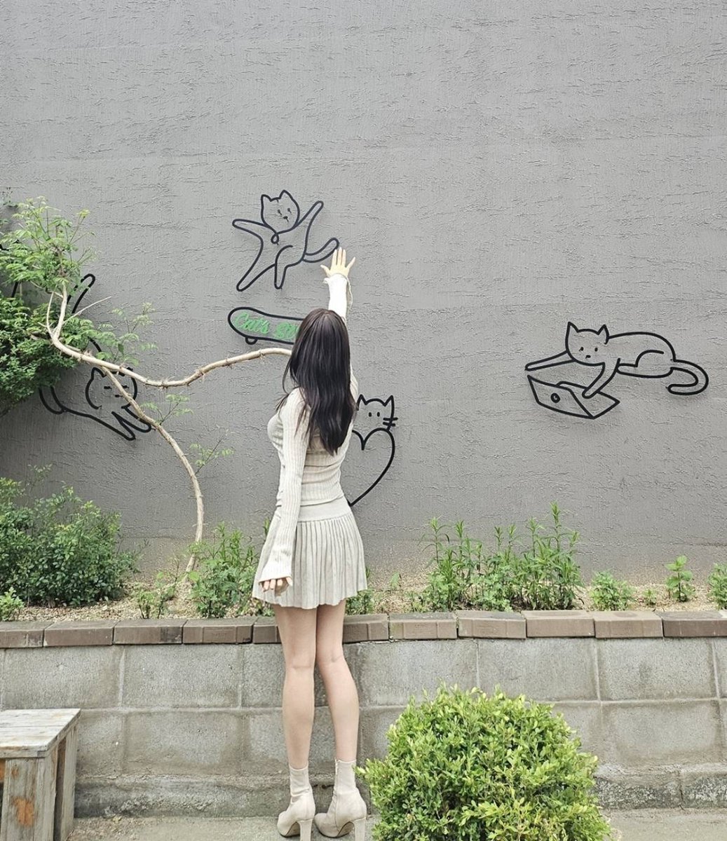 브래드♡하뚜 tweet media