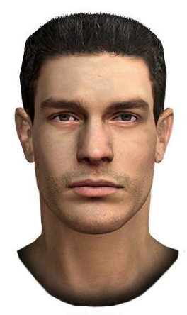 144pCalzone tweet media