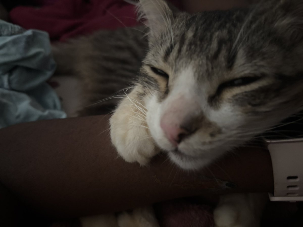 awaria. ❦ tweet media