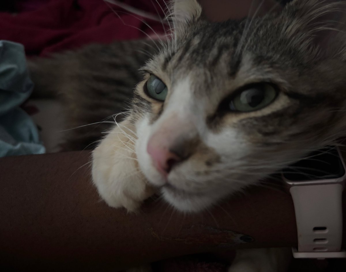 awaria. ❦ tweet media