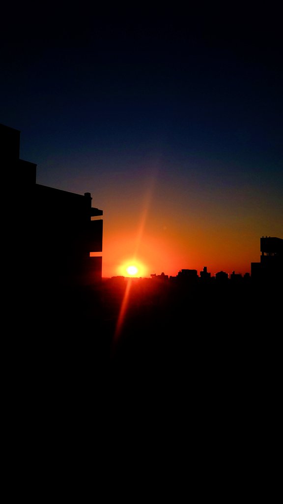 Marina Bertone tweet media