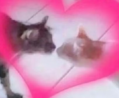 花生批发 tweet media