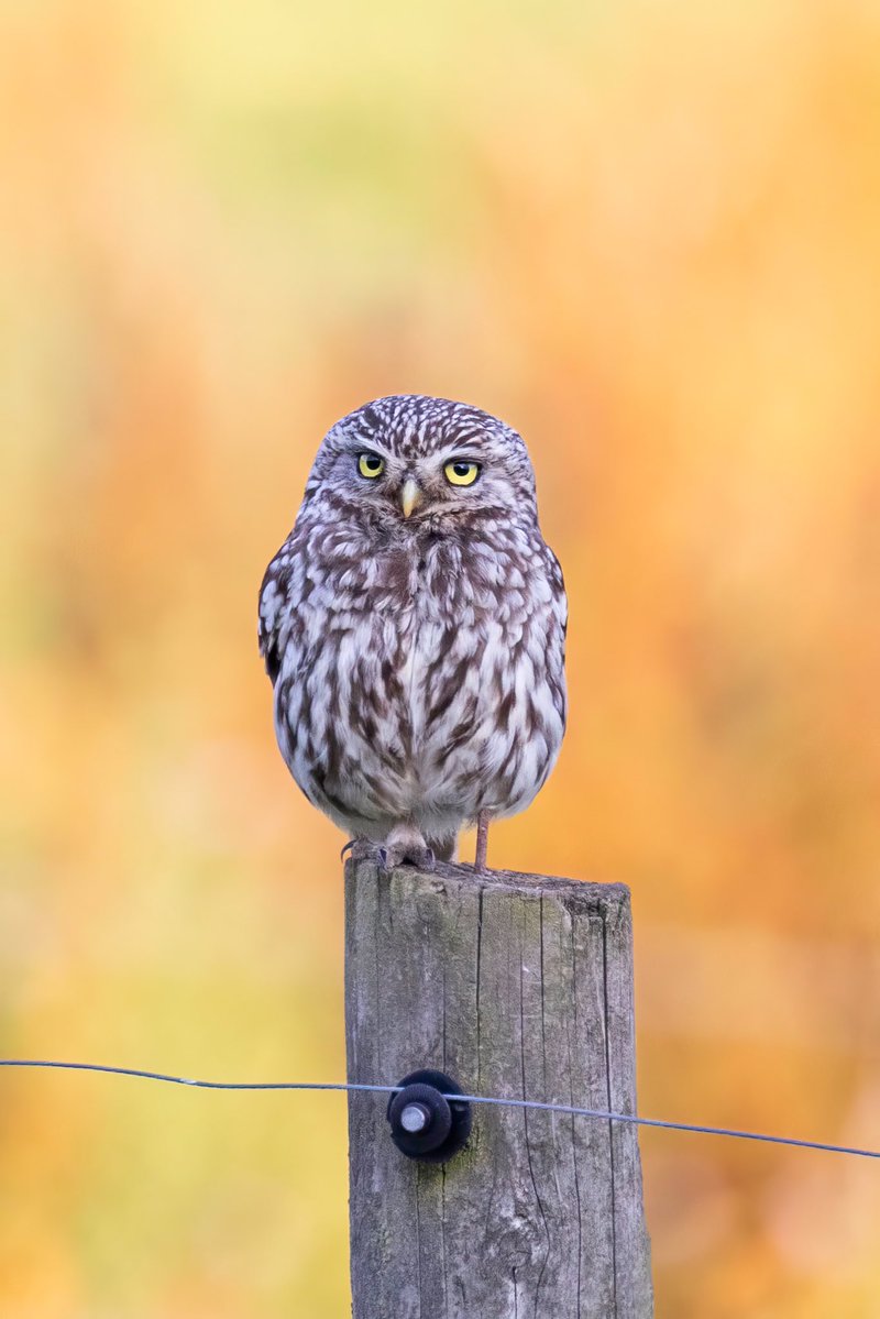 𝖢𝗅𝗈𝗌𝖾𝟤𝖱𝗂𝗏𝖾𝗋𝗌 tweet media