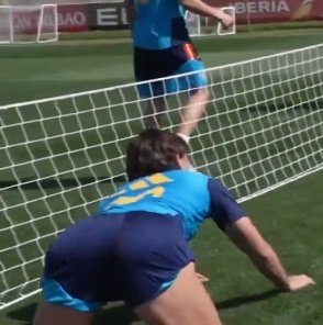 sam 🦈 tweet media