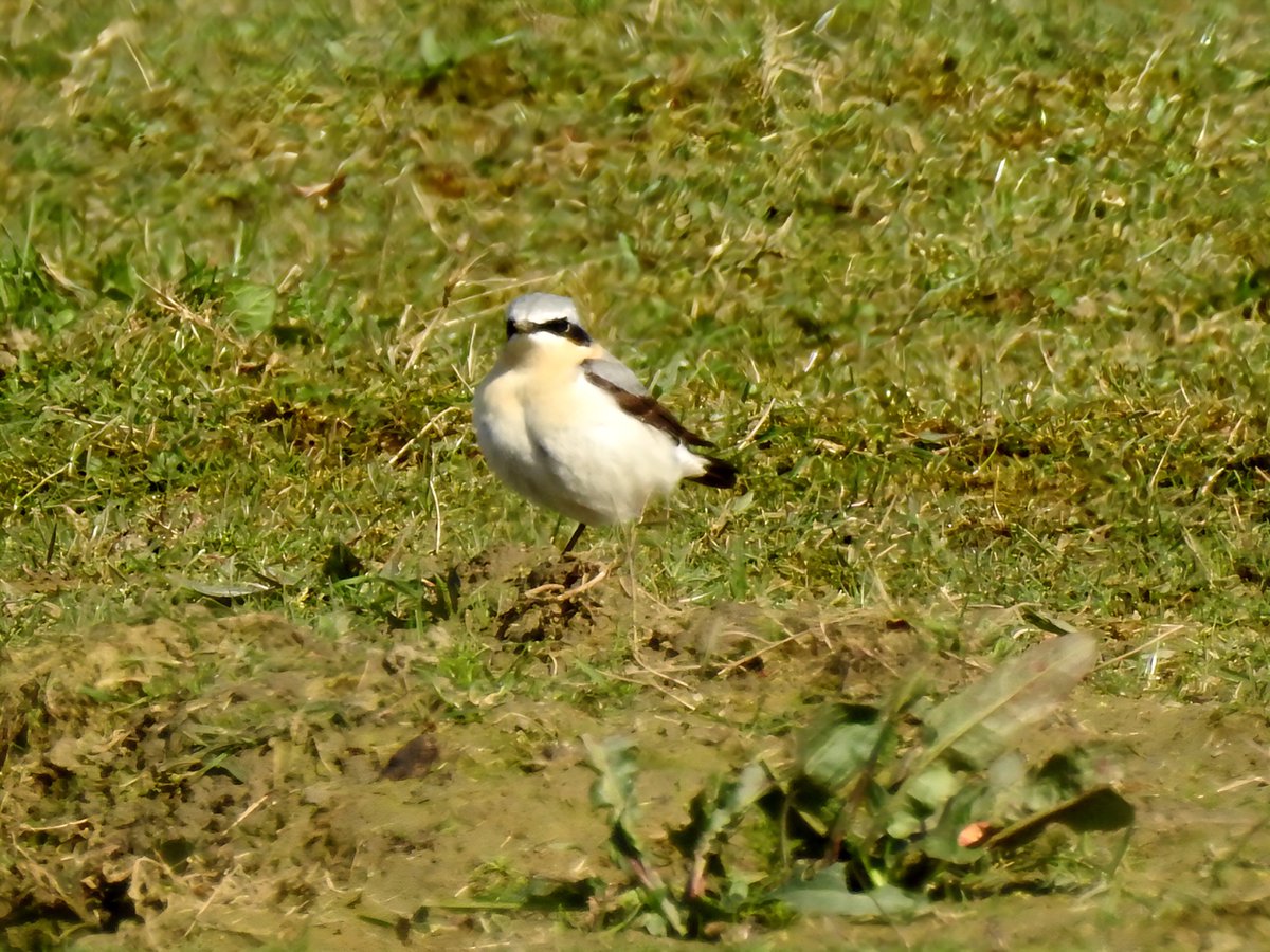 Gary Stones tweet media