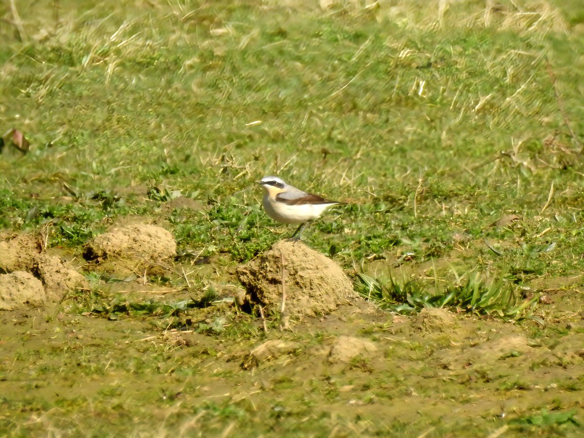 Gary Stones tweet media