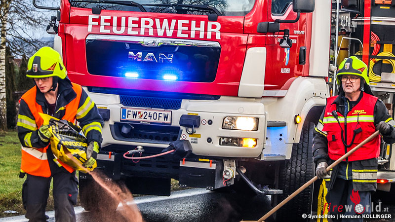 Fireworld.at tweet media