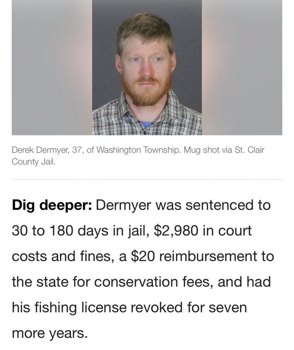 Freed Ninja tweet media