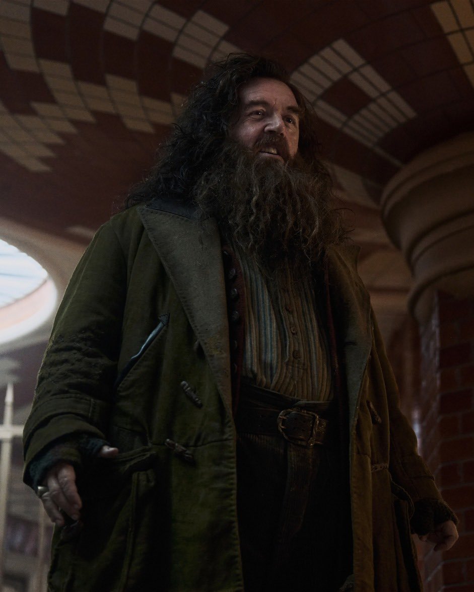 Wilkinmeta𝕏 tweet media