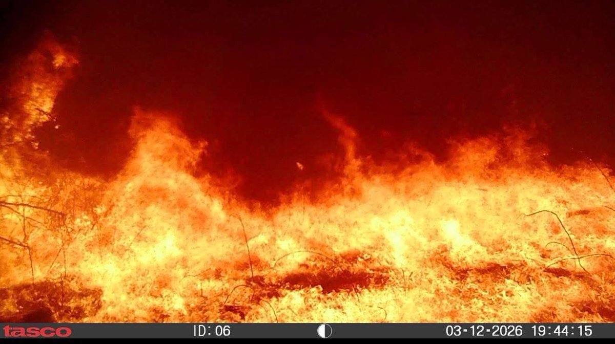 MrsSomebody3591's tweet photo. Do you think beef prices are high now?  You weren't supposed to see this.  In Nebraska, a fire the size of Rhode Island is burning in the U.S. right now! Nearly 1 million acres....gone.
One of the largest burns in modern U.S. history, and the media is ignoring it. https://t.co/s2ptcHAHX6