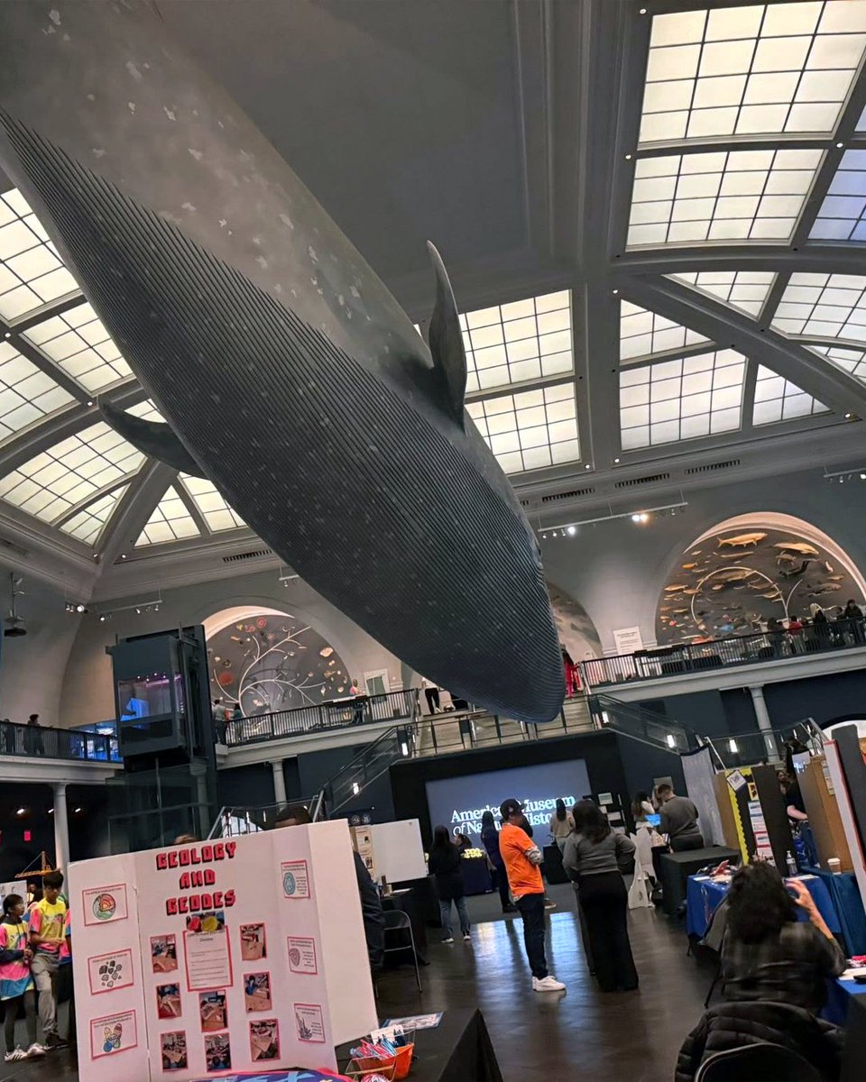 Touro Graduate School of Education tweet media