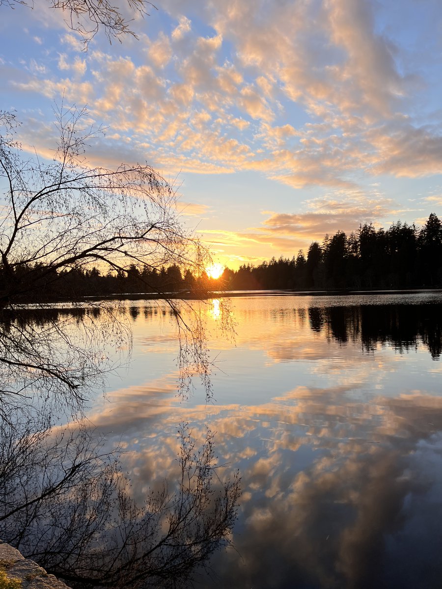 Spirituality, life, love, peace🍂🍁🪺🌻🍃📸 tweet media