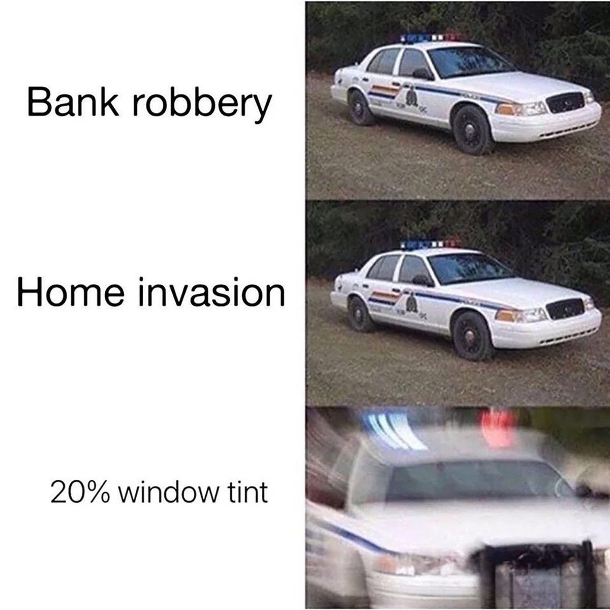 WhiteJakefromStateFarm tweet media