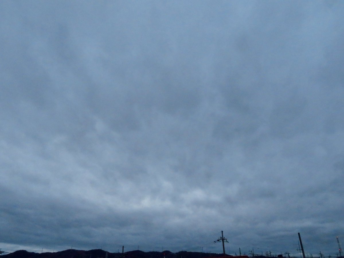 やまちゃん tweet media