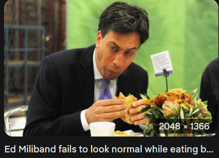 bamboo zooka tweet media