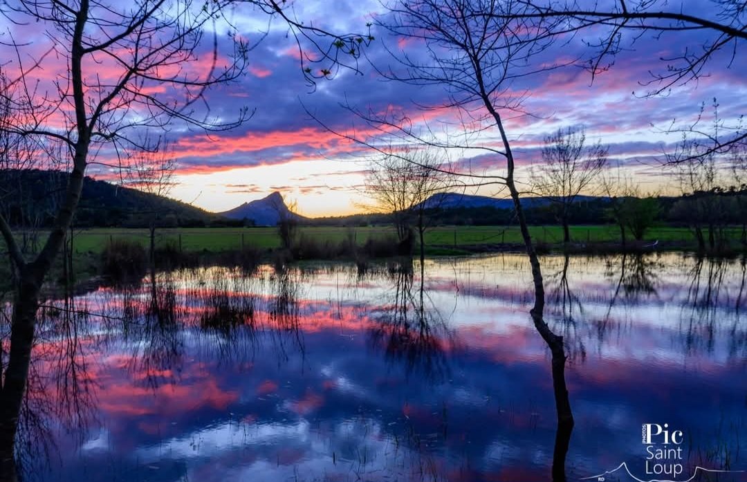 Anne 🇫🇷 tweet media