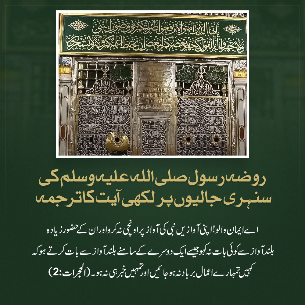 One Page Survivor tweet media