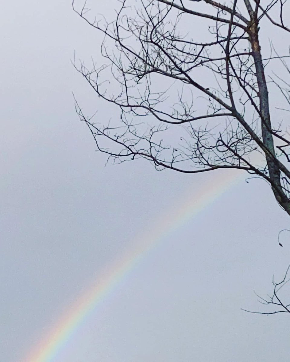 Gemma Dearsley tweet media