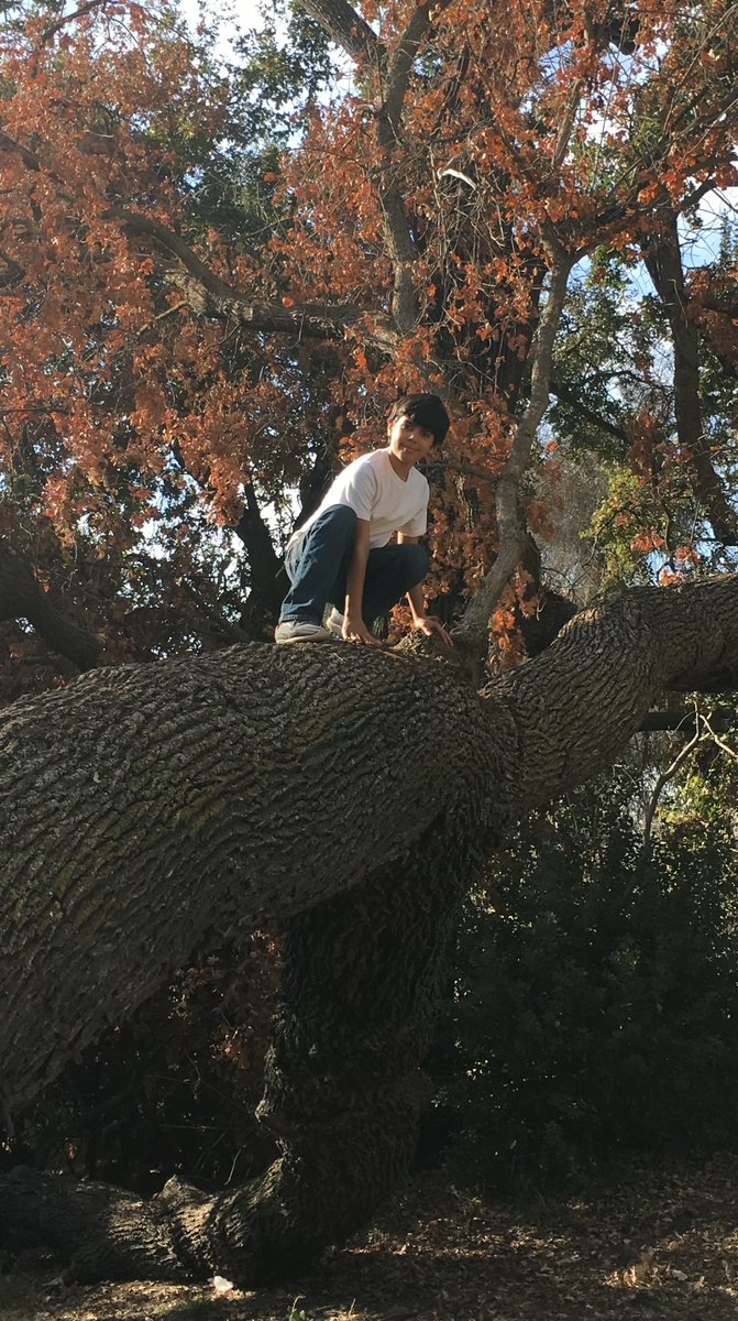 John Pickens tweet media