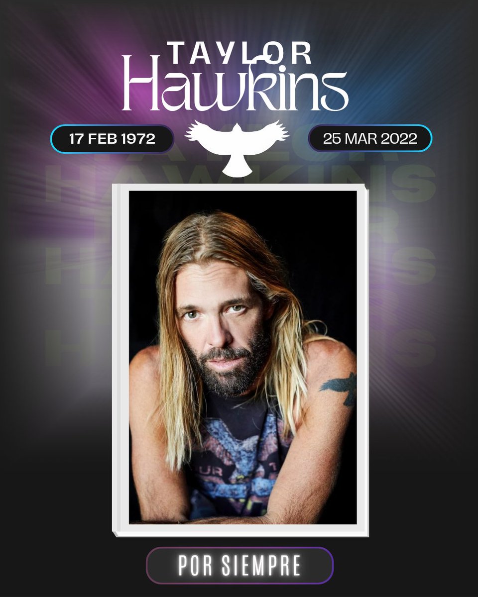 FooFightersCo tweet media