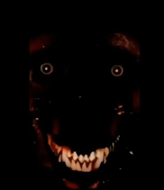 ‼️ VOCÊ FOI AMALDIÇOADO ‼️

Para se livrar da maldição, apenas comente as tags abaixo.

DO NOT ERASE HEESEUNG
희승과 함께 걸어가
#EnhypenForeverSeven
#DONT_ERASE_FATE7