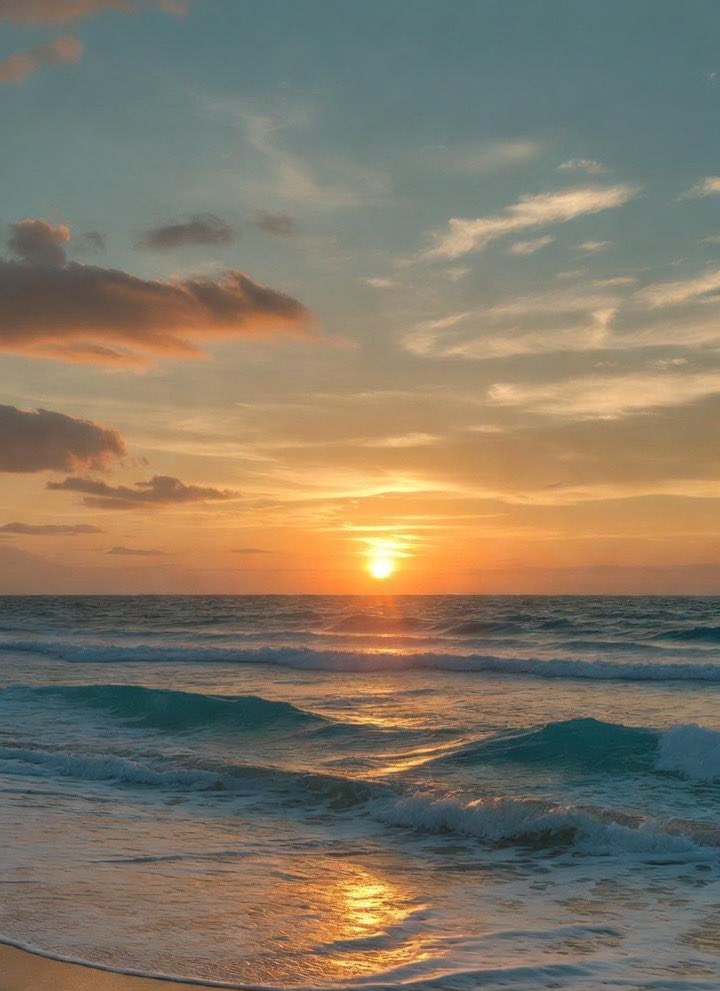 Lisa🌺 tweet media