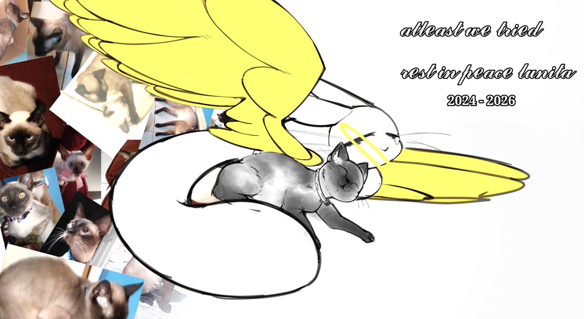 NotDusp 🔞 tweet media