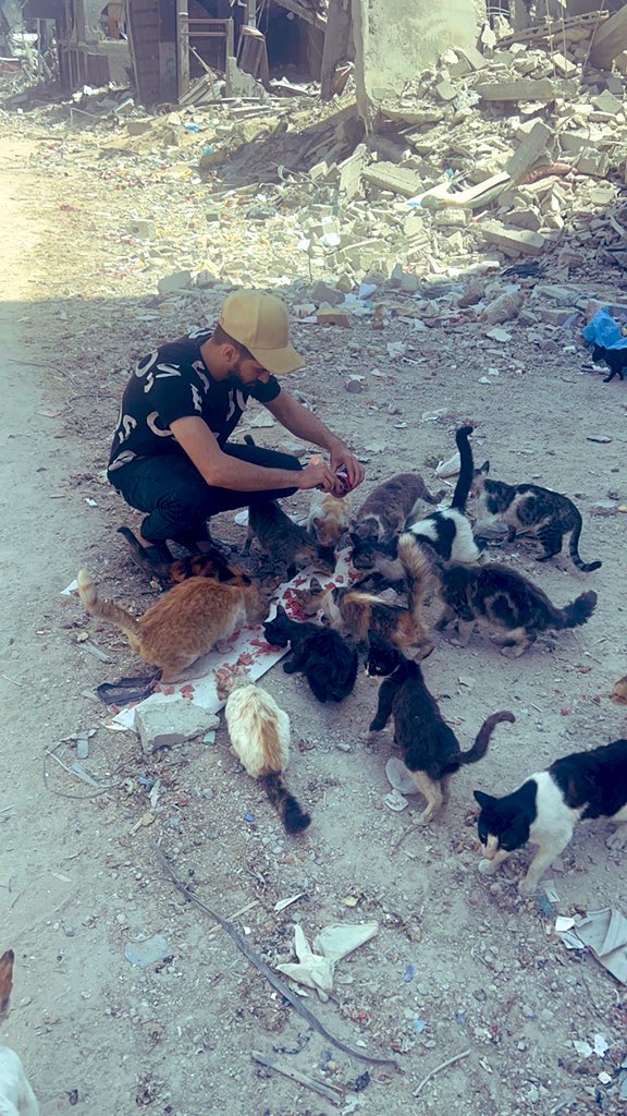 Salam animal care tweet media