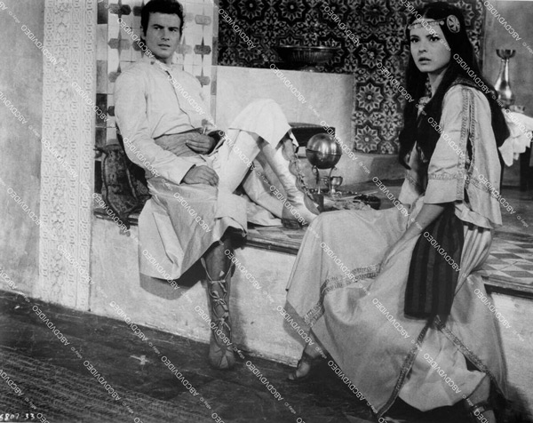 Soledad Miranda tweet media