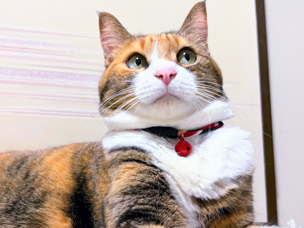 美穂🍒ちょる17💎Ｃ× M tweet media