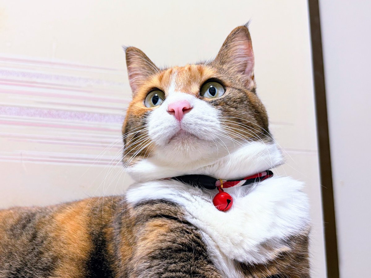 美穂🍒ちょる17💎Ｃ× M tweet media