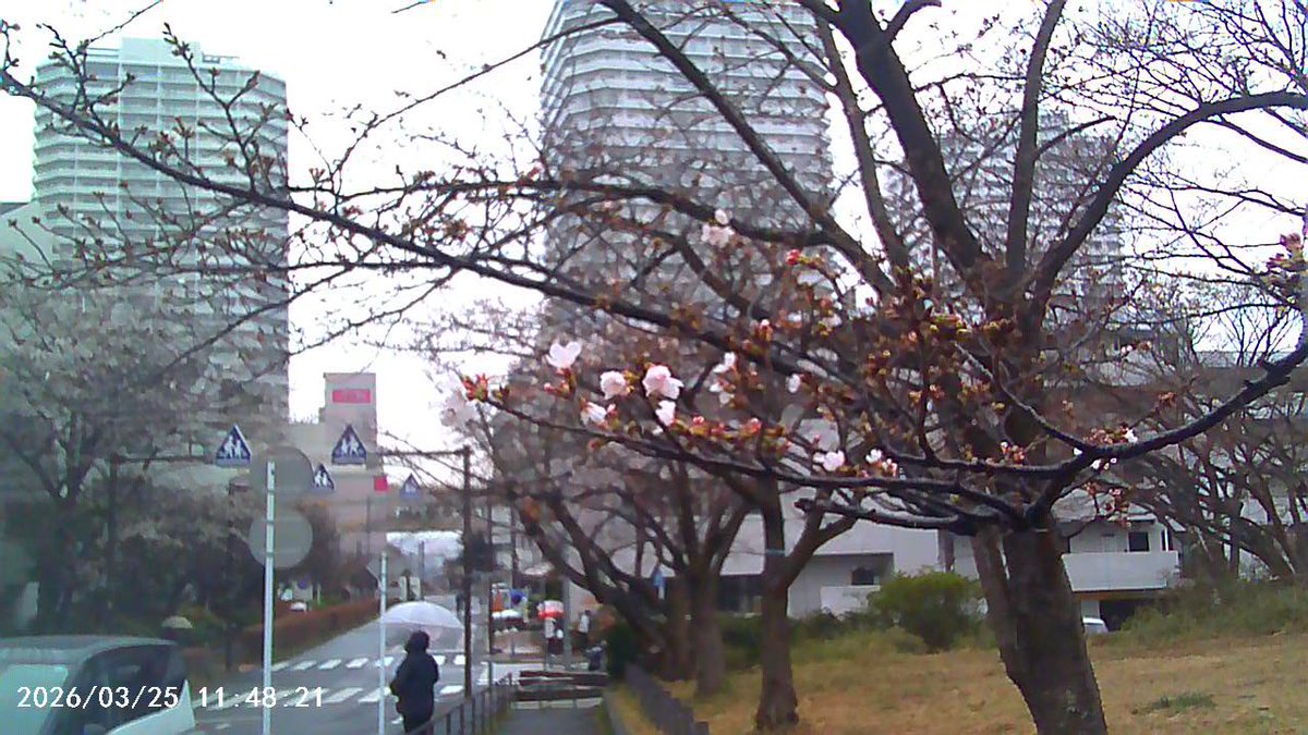 HisBowtieCamera's tweet image. コダックチャルメラとパチモンカメラ比較しました。パチモンの方は中々よく出来ていて操作感などは自分にはこちらが好みです。設定もホワイトバランスなど色々ある。
大きさも構造も少し違い、ギリセーフかな。
写真は3枚目がチャルメラ、4枚目がパチモン。パチは1M pixelモード。
#KODAK #チャーメラ