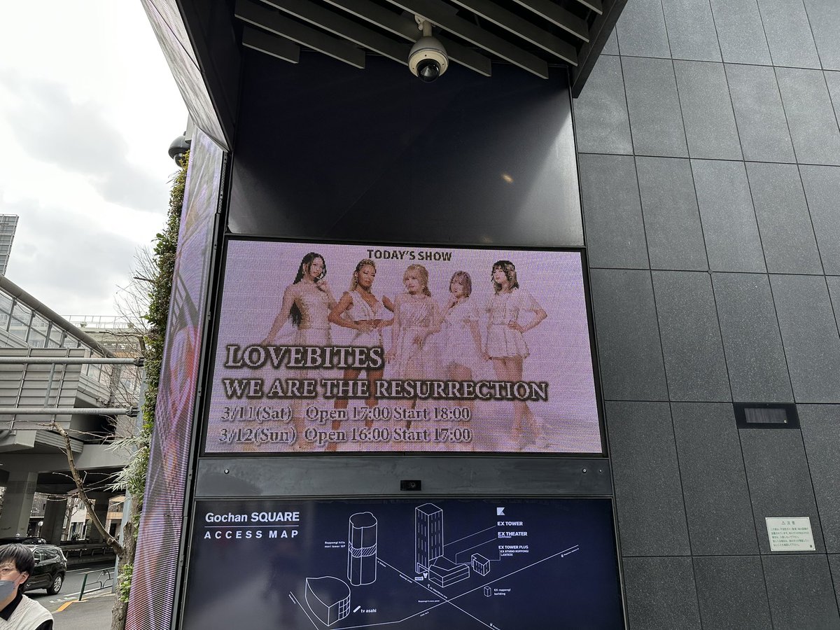 グリーンマシーン♦️♦︎♦️♦︎LOVEBITES INC.社員 tweet media