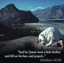 Asad Mohammed tweet media