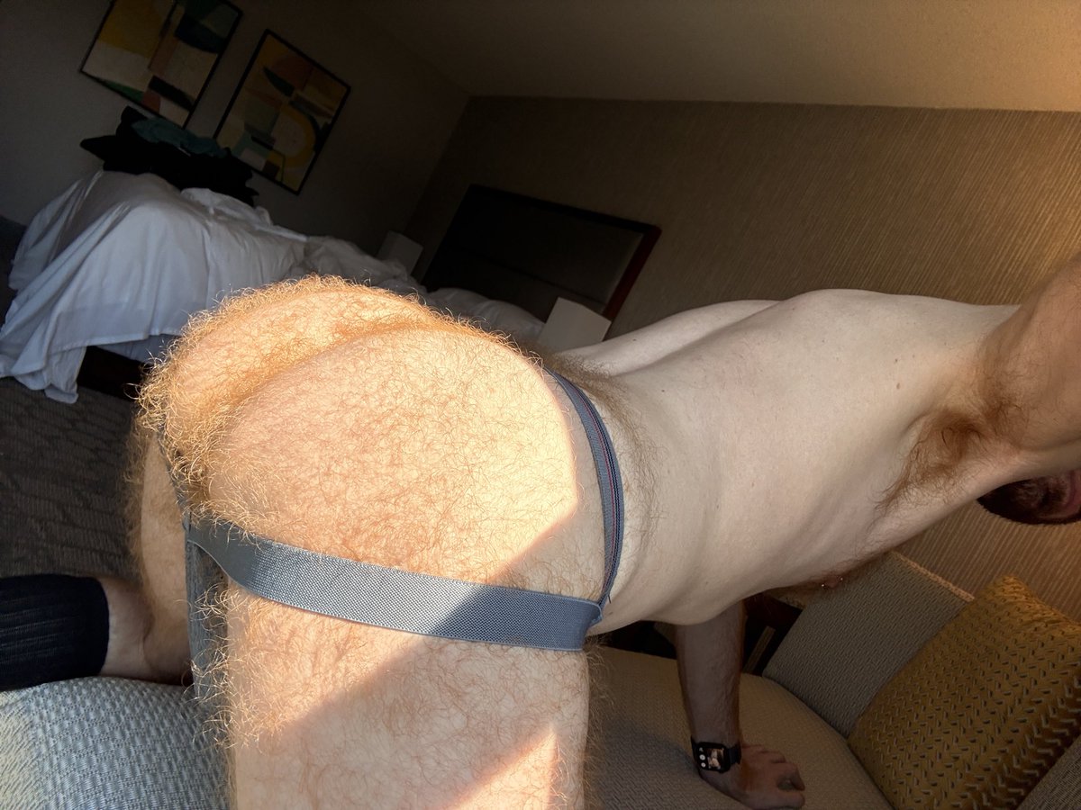 👨🏻‍🦰GingerPitPig🐽 tweet media