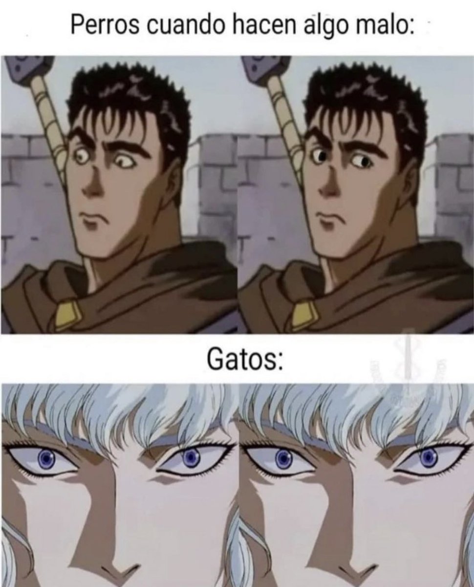 Memakker tweet media